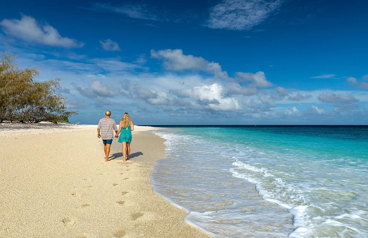 Wilson Island walking