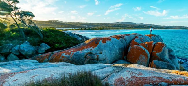 Essence of Tasmania Road Trip