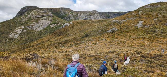 Hiking in Cradle Mountain