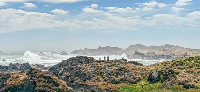 Tarkine Coast