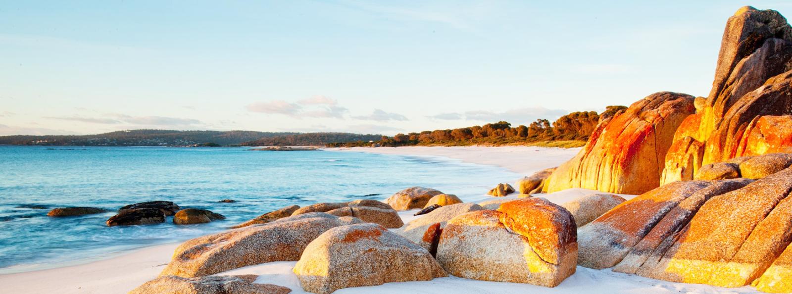Tasmania's Footsteps and Trails Pricing