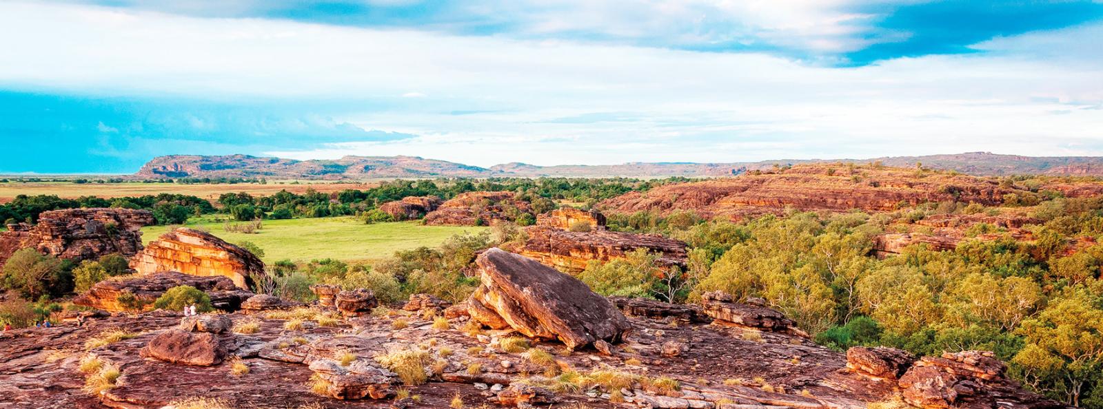Kakadu 