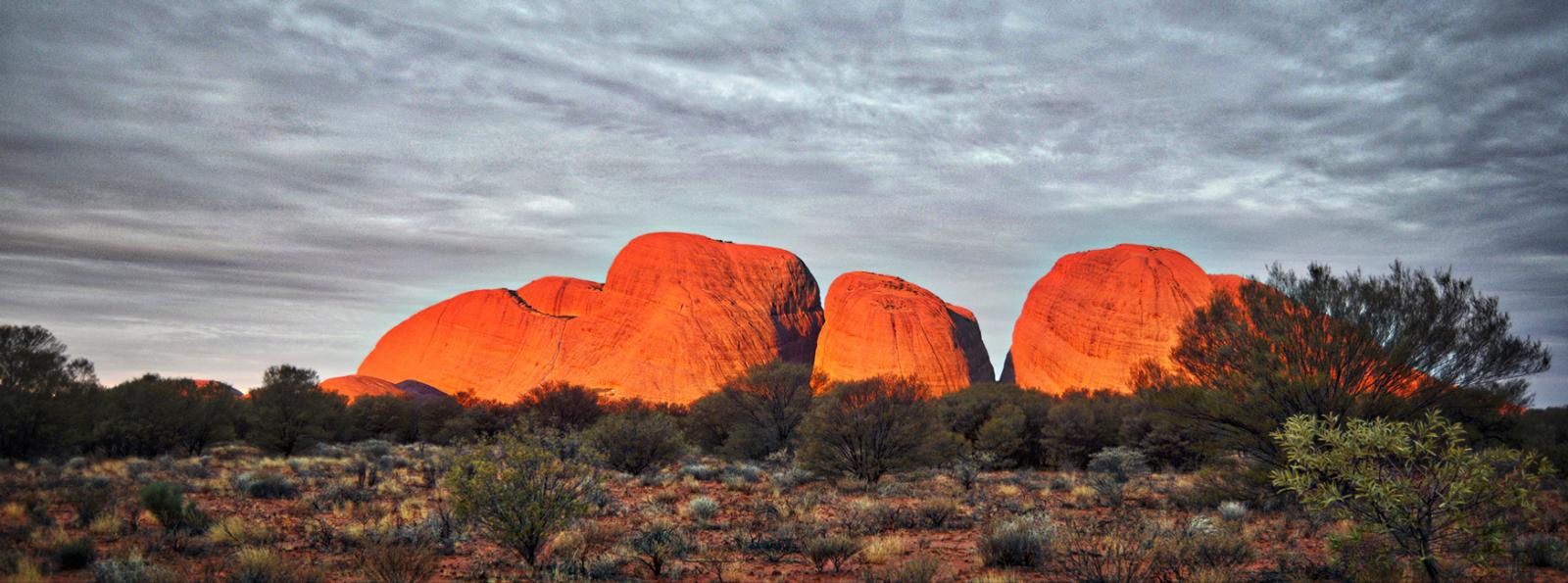 Outback Contrasts – A Journey to the Centre Pricing