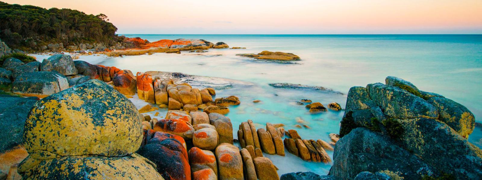 Tasmanian Group Tours