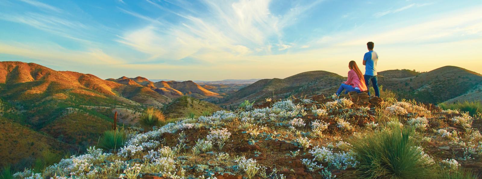 South Australia Self Drive Tours
