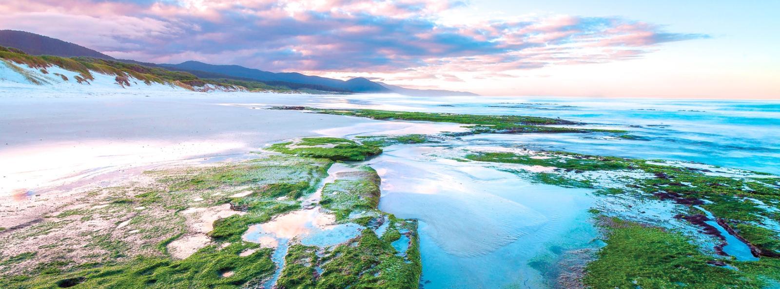 Tassie’s East Coast 