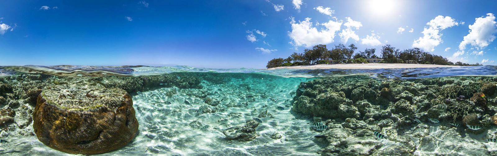Coral Reef, Island and Outback
