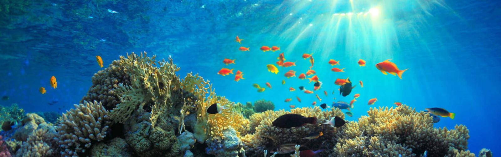 When to Visit Australia