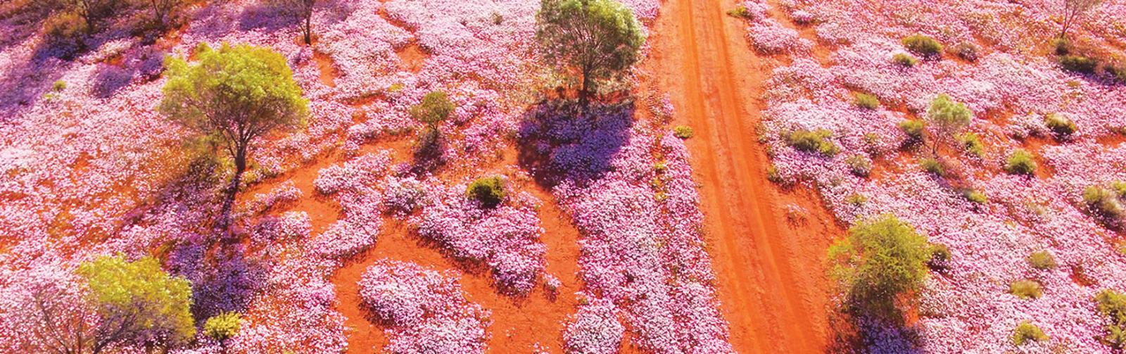 Western Australia