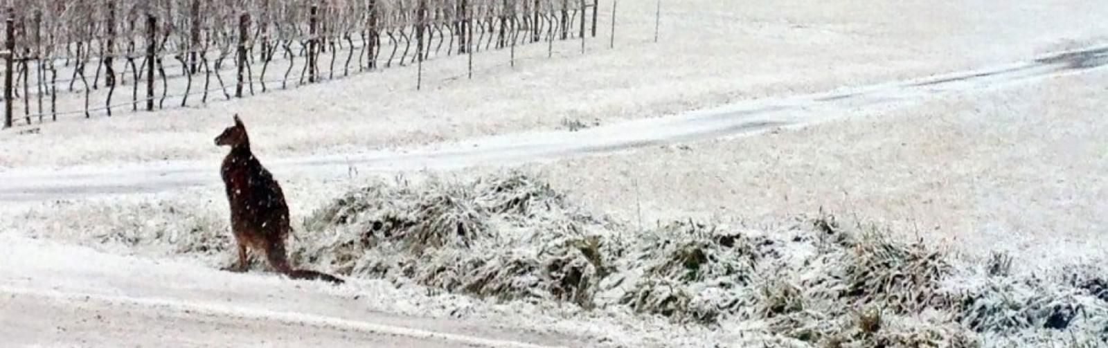 Australian Winter