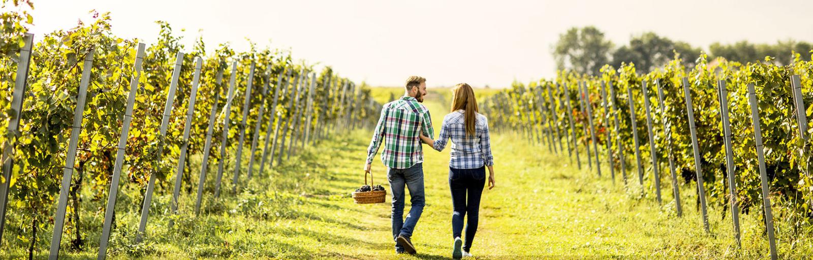 Hunter Valley