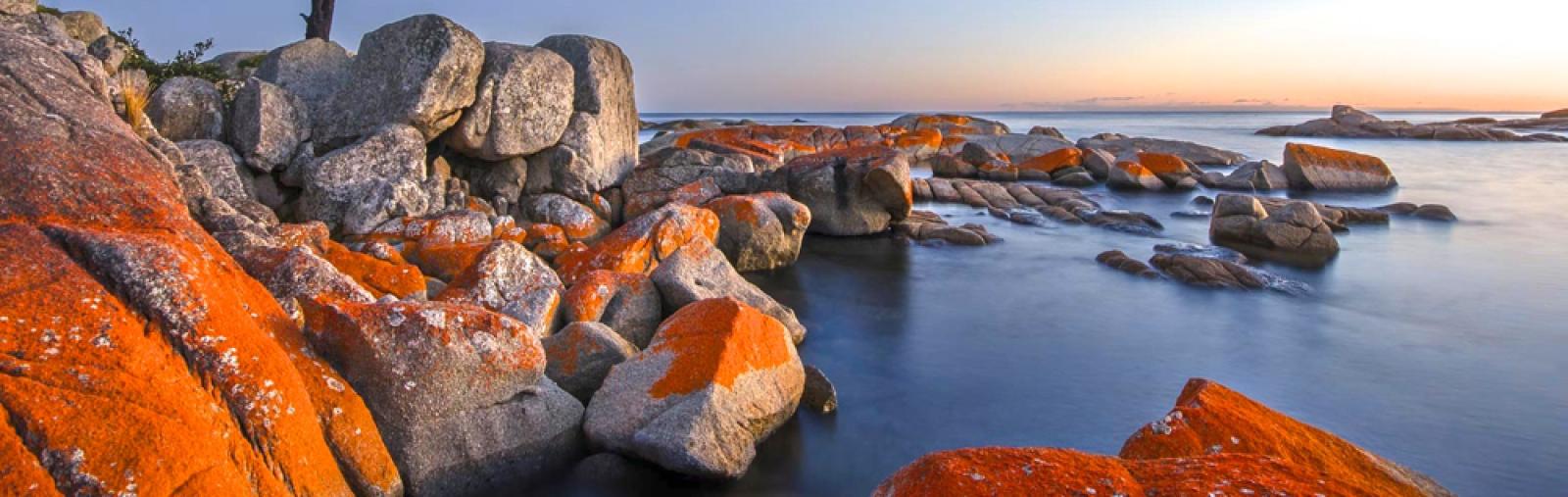 Tasmania – A Private Tour