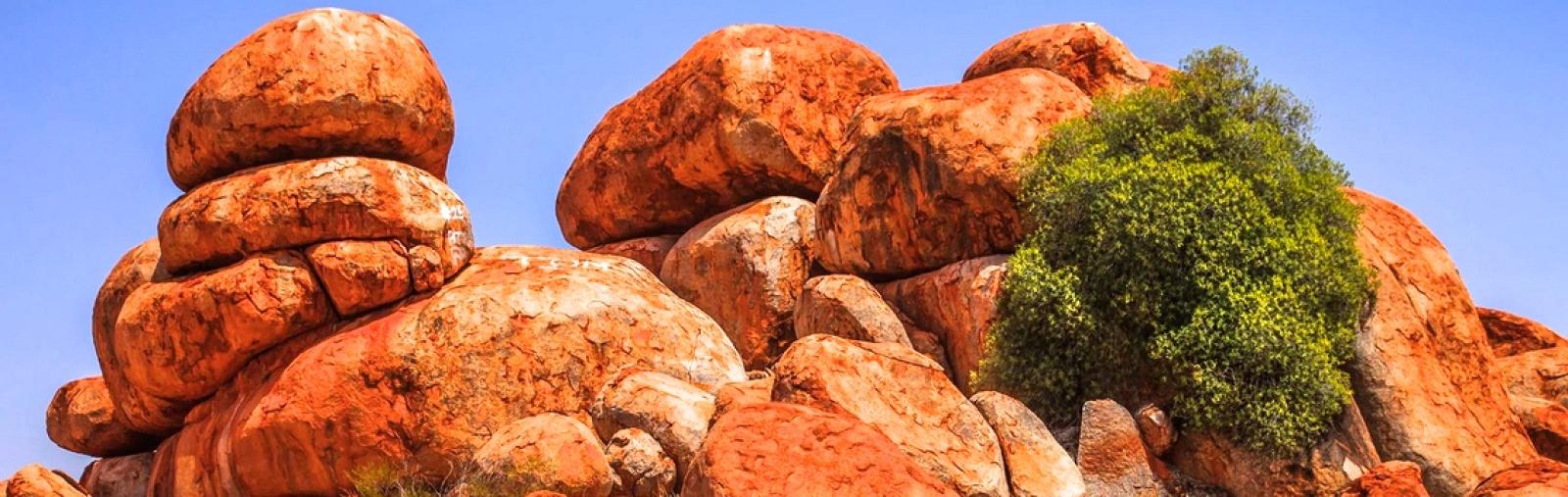 The Rock