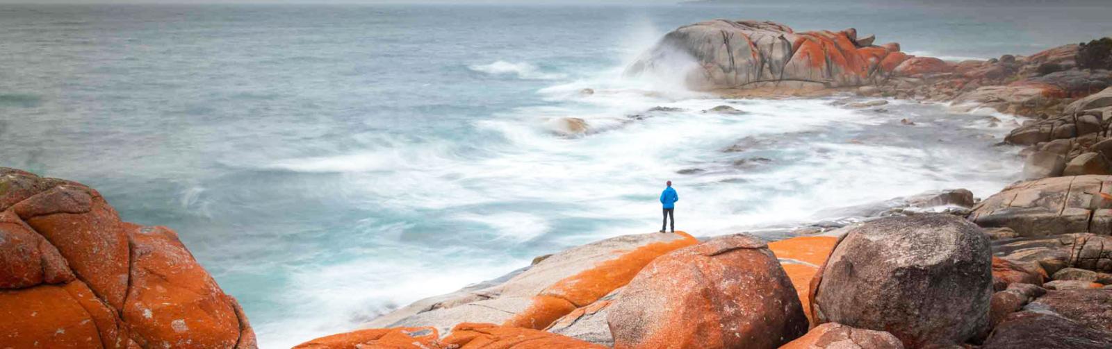 tasmania lodge walk