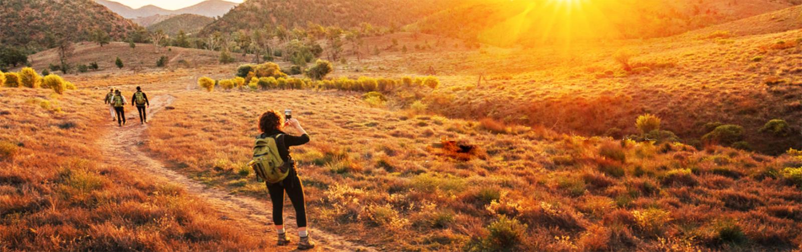 Luxurious Properties in South Australia