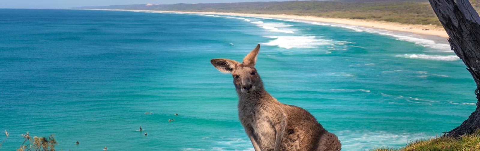 Awesome South Australia