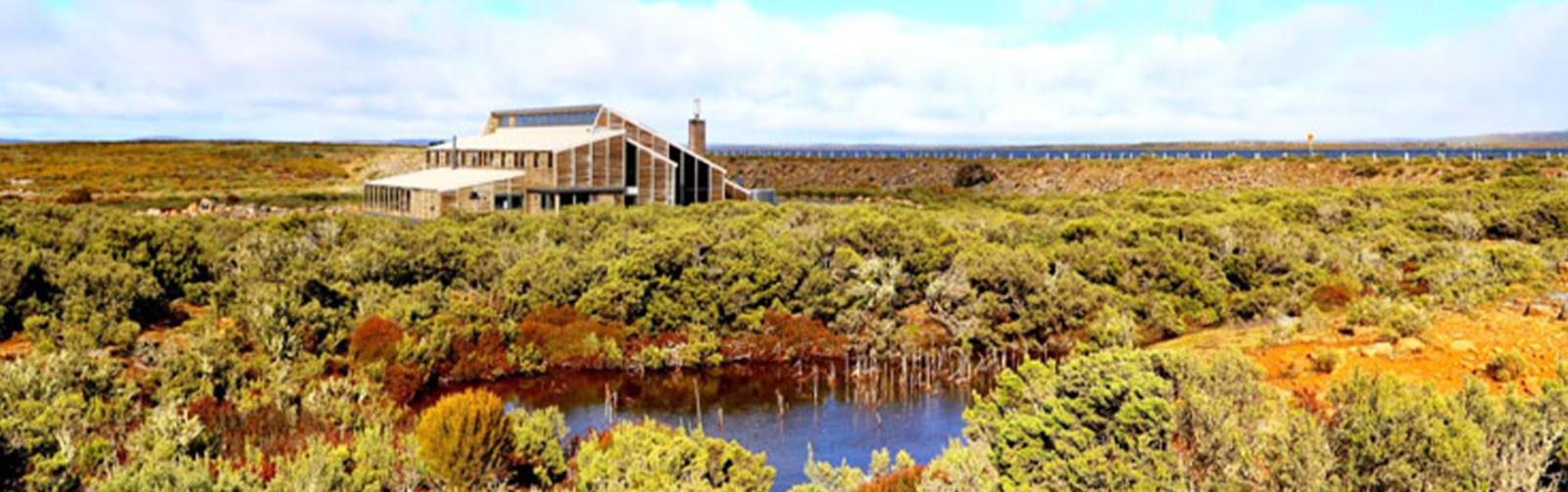 Tarkine Region of Tasmania