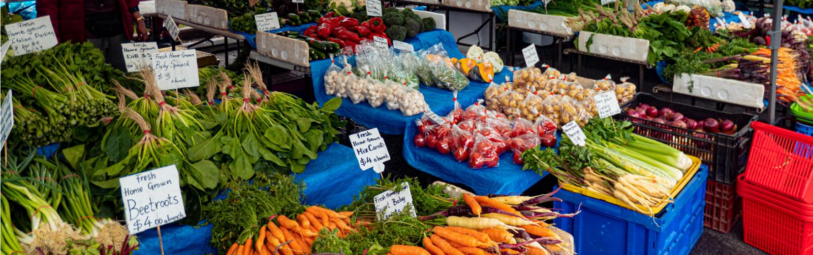Salamanca farmers market