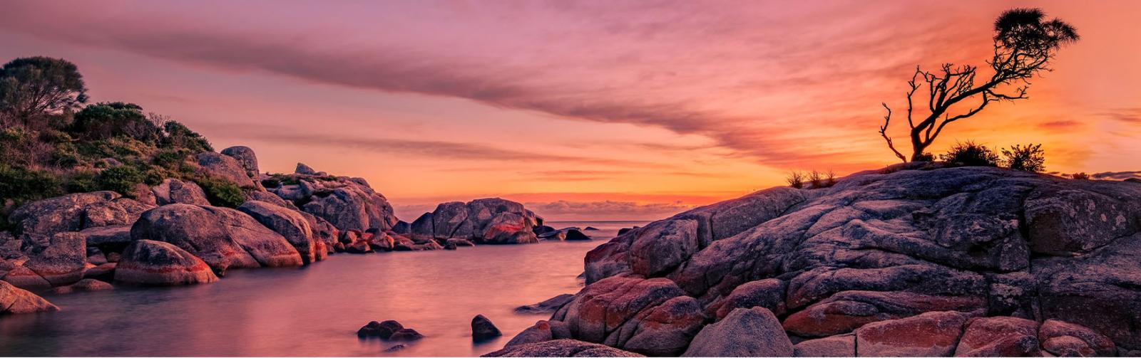 Sunrise at the Lone Tree at Binalong in the Bay of Fires - Photo by <a href="https://unsplash.com/es/@bigmck56?utm_source=unsplash&utm_medium=referral&utm_content=creditCopyText">Trevor McKinnon</a> on <a href="https://unsplash.com/s/photos/tasmania?utm_source=unsplash&utm_medium=referral&utm_content=creditCopyText">Unsplash</a> 