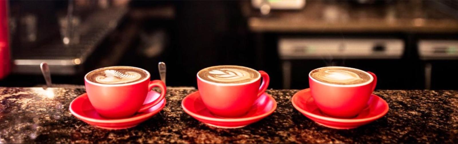 Tasmanian Coffee Guide: Best Beans and Roasters