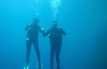 Diving New Zealand