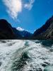 Milford Cruise