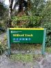 Milford Track