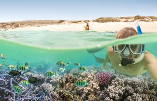 Ningaloo Reef Beach
