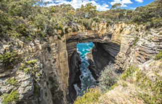 Tasman Arch