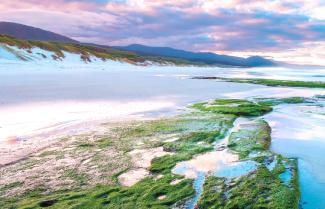 Tassie’s East Coast 
