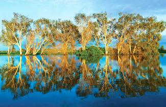 Yellow River Cruise