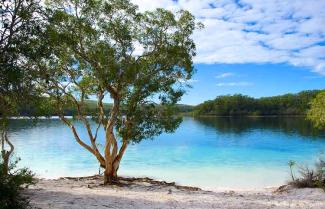 Fraser Island 