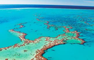 Great Barrier reef 