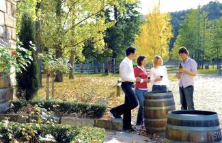 Hunter Valley Vineyard Tour
