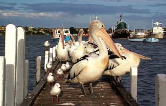 Lakes Entrance