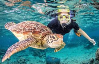 Southern Great Barrier Reef 
