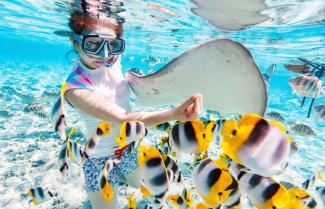 Lady Elliot Island