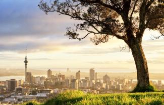 auckland View