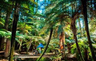 Rotorua 