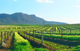 Hunter Valley