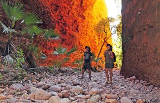 Bungle Bungles walking tour