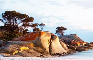 Tasmania