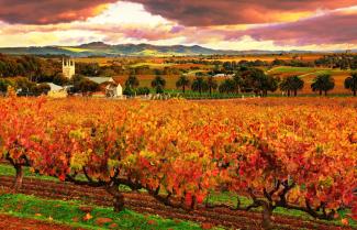 Barossa