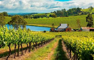 barossa