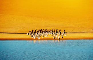 Lake Eyre
