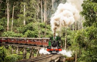 Puffing Billy