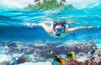 Snorkel Fiji