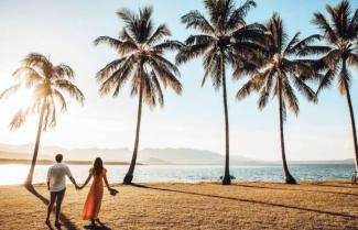 Port Douglas Palms