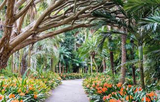 botanic gardens