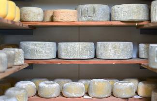 Bruny cheese